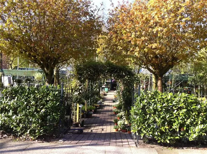 Een sfeervol tuinpad door Tuincentrum Hofwijck
